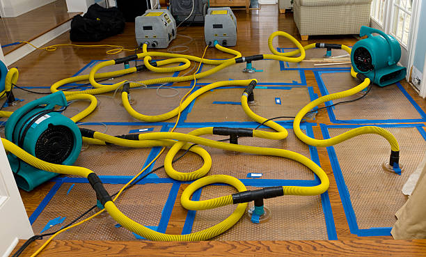 Professional Crawl Space Water Removal technician working in Windsor, CA